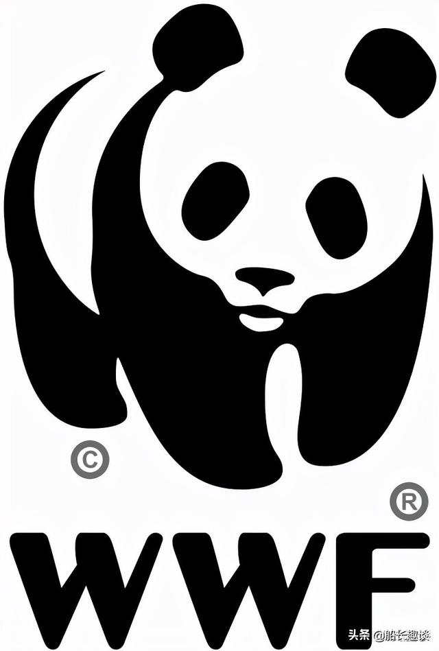 大熊猫的生活习性简介