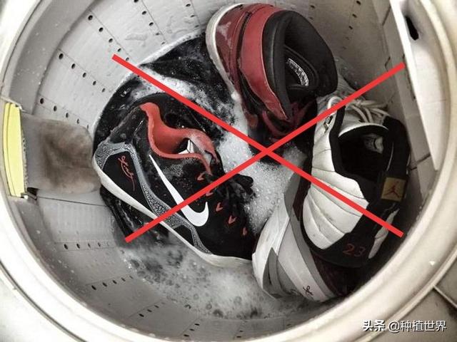 皮鞋在洗衣机里洗还是机器洗（皮鞋内部可以用水洗吗）