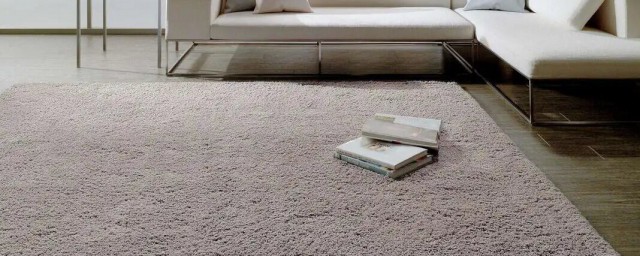 家庭怎样清洗大块地毯（怎么清洗地毯的正确方法）