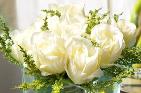 白色玫瑰花代表着什么（送给心爱的女爱表达赞美）