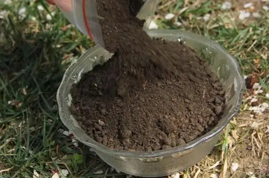 草可以直接埋土里做肥料吗（落叶能直接当肥料吗）