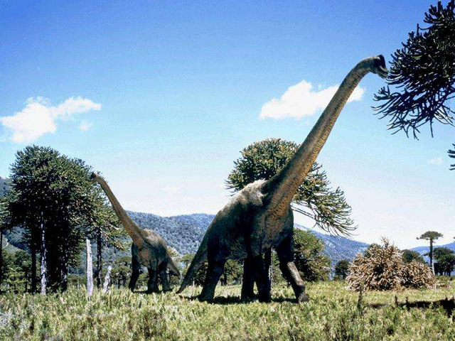 你知道世界上最大的恐龙是什么恐龙（世界上最强大的恐龙10大排行）