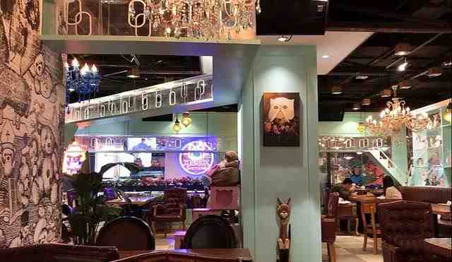 北京三里屯可以撸猫的饭店（可以撸猫的餐厅）