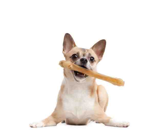 狗狗缺钙吃什么钙片（狗狗补钙的误区及正确补钙的方式）