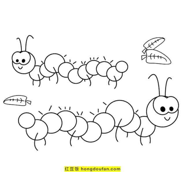 毛毛虫简笔画 儿童（所有的毛毛虫都会变成蝴蝶吗）