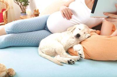 孕妇7个月后可以养宠物吗（孕妇还能继续养宠物吗）