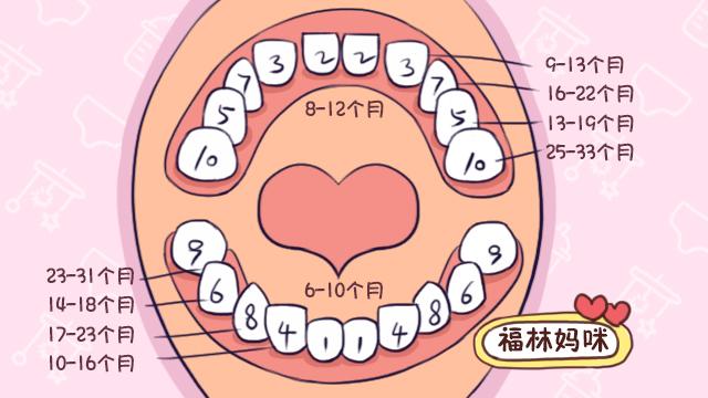 出牙的顺序图（宝宝长牙顺序图解）