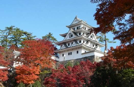 日本十大顶级旅游景点（日本必去的十大最美小镇）