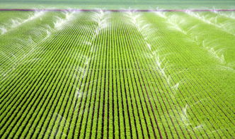 新型智能灌溉系统（智能灌溉系统的简介）