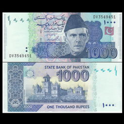 1000巴基斯坦卢比等于多少人民币（等于31.3500人民币）