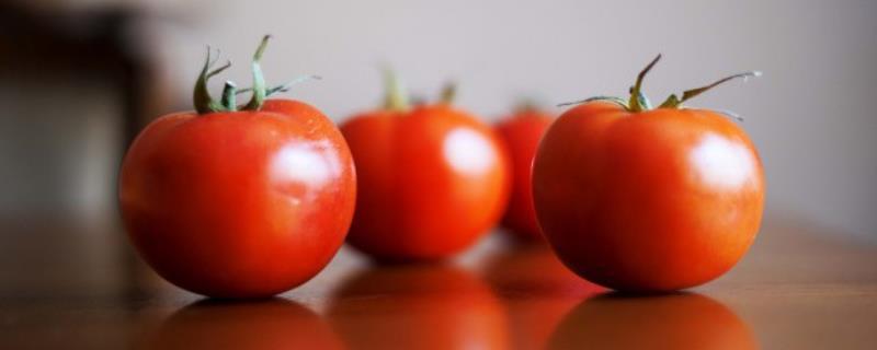 只吃西红柿黄瓜减肥吗