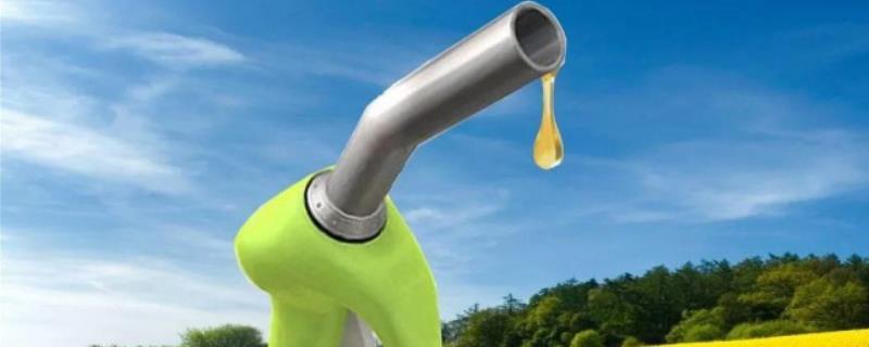 生物柴油的原料一般是什么