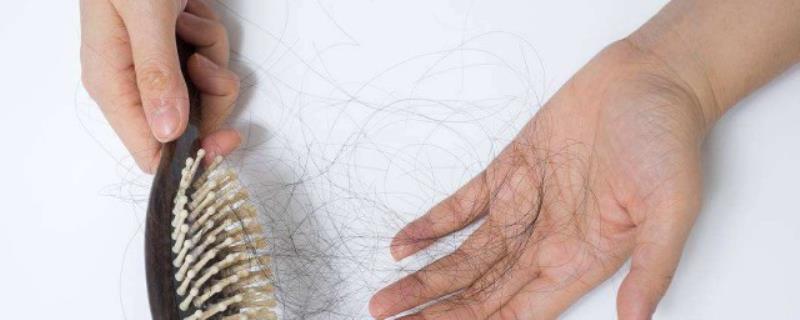 一个成年人每天掉多少根头发属于正常现象