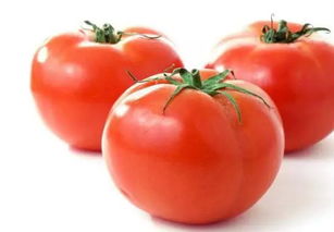 西红柿的做法有几种，西红柿做法大全