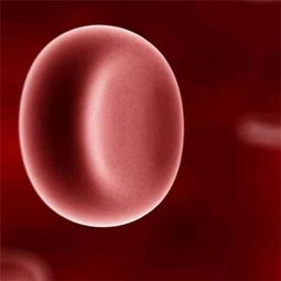 红细胞压积偏高怎么治疗，助于了解红细胞的增加和减少