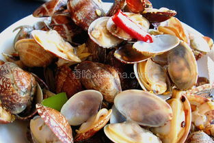 花蛤怎么做好吃：花蛤肉做汤家常做法