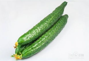 黄瓜有什么营养价值（含有的葫芦素C、维生素E、丙醇二酸等等）