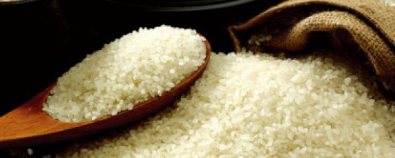 米怎么做好吃 花生米怎么做好吃