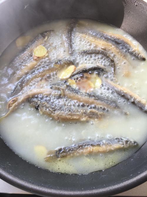 鳅鱼炖汤怎么做好吃(鳅鱼炖汤的做法)