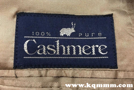 cashmere是什么牌子(cashmere品牌是一种非常昂贵的服装面料)