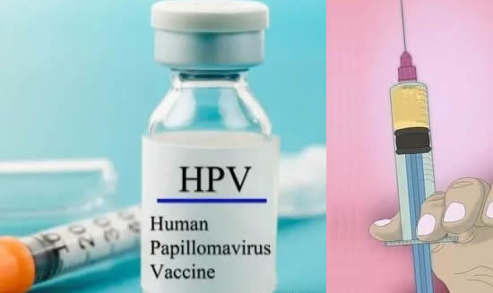 最新hpv疫苗二价四价九价区别价格一览表图
