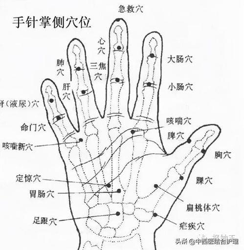 手掌部位图及名称图 手指穴位图解